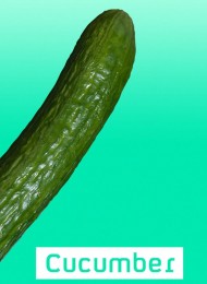 Cucumber - Saison 1