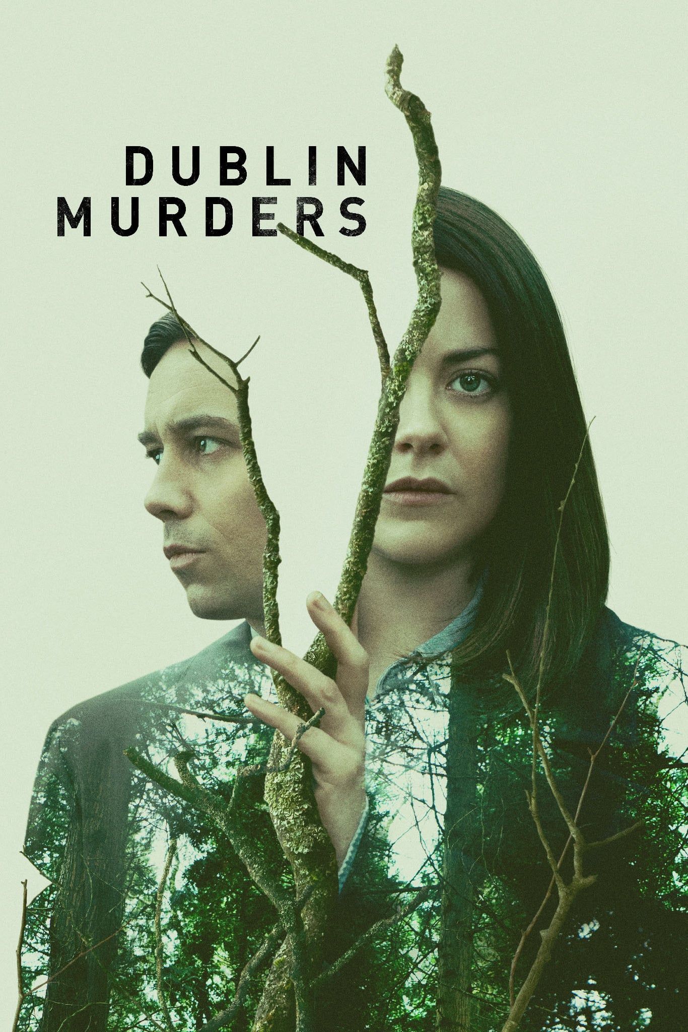 Dublin Murders - Saison 1