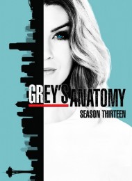 Grey's Anatomy - Saison 13