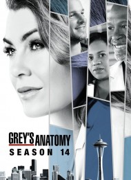 Grey's Anatomy - Saison 14