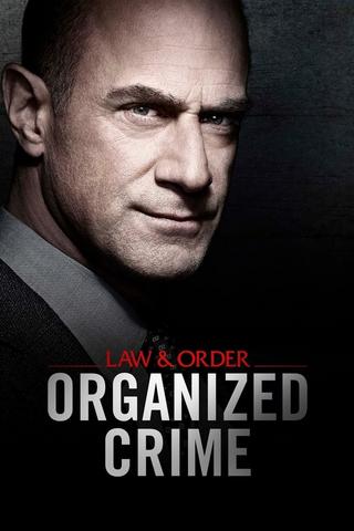 Law & Order: Crimes Organisés - Saison 1