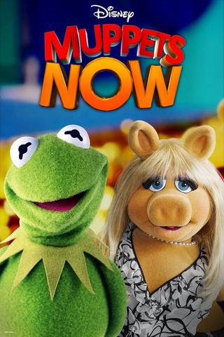 Le Nouveau Muppet Show - Saison 1