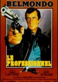 Le professionnel