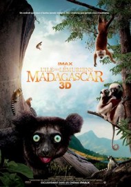 Madagascar, l'île des Lémuriens