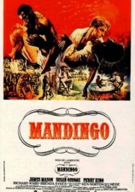 Mandingo