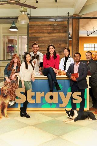 Strays - Saison 2
