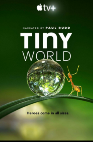 Tiny World - Saison 1