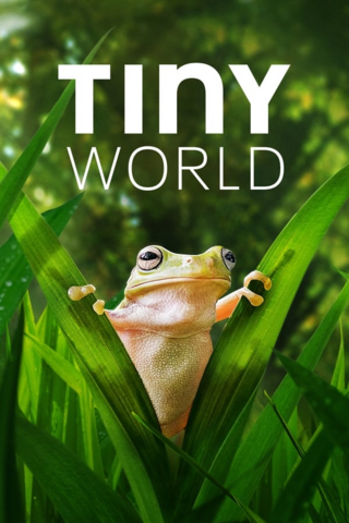 Tiny World - Saison 2